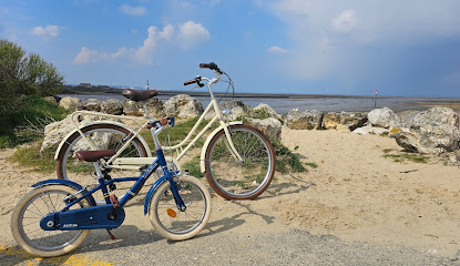 Bnbike - Location De Vélos Gujan Mestras À La Hume - Livraison Gratuite Service De Location De Vélos à Gujan-Mestras