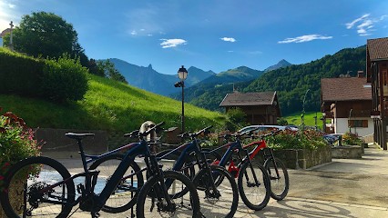 Full Mountain Aravis, Loueur de Vélos à Manigod