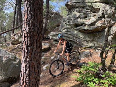 Fontainebleau Bikes & Crash Pads Rental (location/livraison Vélos Et Crash Pads Sur Rendez-vous Uniquement), Loueur de Vélos à Noisy-sur-École