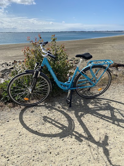 Monts Bicloo Fromentine, Loueur de Vélos à La Barre-de-Monts