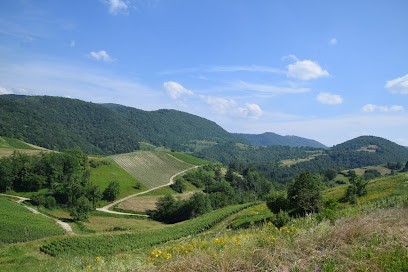 En Roue Libre - Location Vélo Électrique Bugey, Loueur de Vélos à Jujurieux