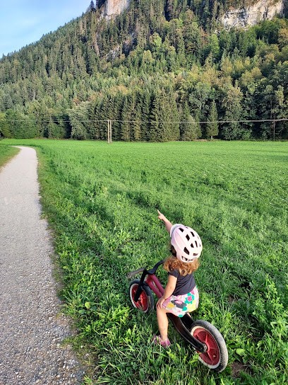 Velo Dranse location vtt/e-bike et atelier réparation à Abondance, Loueur de Vélos à Abondance