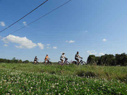 Les Locations Des Dombes, Service De Location De Vélos à Villars-les-Dombes