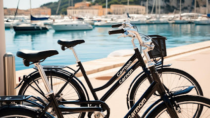 Rent A Bike Carnon Plage Service De Location De Vélos à Mauguio