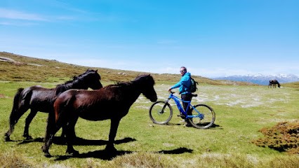 Location VTT Électrique SOL IN BIKE, Loueur de Vélos à Solaro