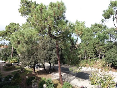 Cycl'evasion, Loueur de Vélos à Saint-Georges-de-Didonne