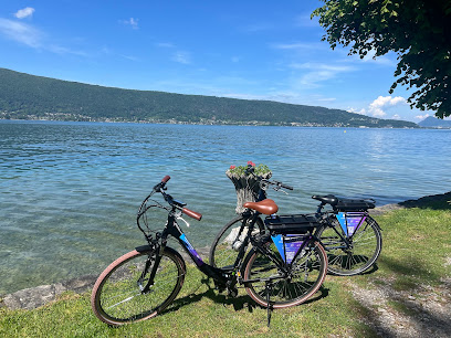 Nouloutou Service De Location De Vélos à Annecy