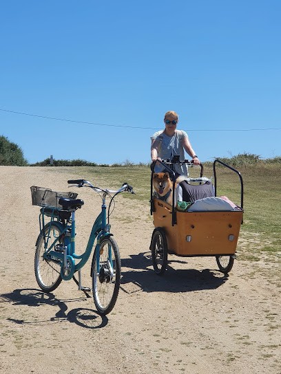 Coconut's Location, Loueur de Vélos à Groix