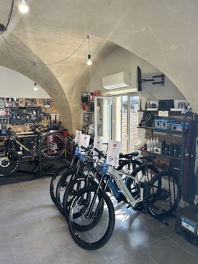Bike In Alpilles, Loueur de Vélos à Paradou