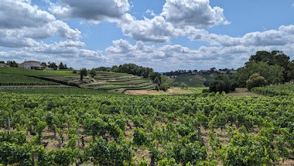 LOVELEC33, Loueur de Vélos à Libourne