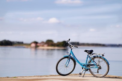 Le Vélo D'Ewen, Loueur de Vélos à Sarzeau