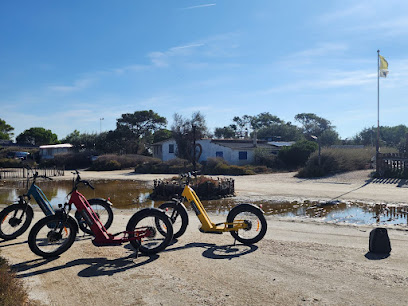 E-Trott-Rider, Service De Location De Vélos à Port-Saint-Louis-du-Rhône