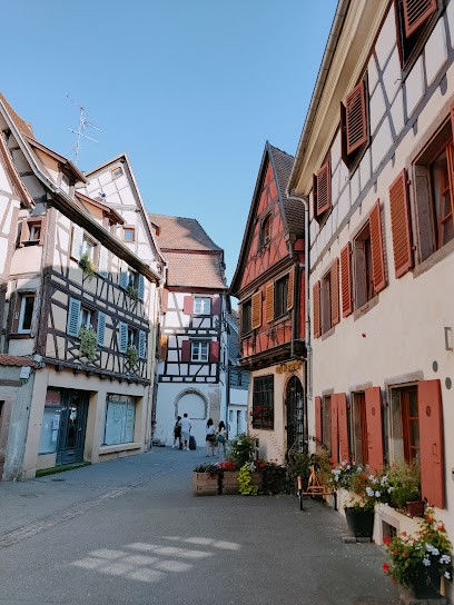Colmar Bike Tours, Loueur de Vélos à Colmar