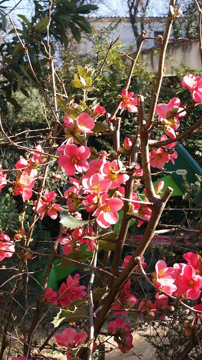 Igoulen Benoit, Loueur de Vélos à Beaumes-de-Venise