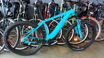 Vélos D'Albret Location Vélo Vieux Boucau, Loueur de Vélos à Vieux-Boucau-les-Bains