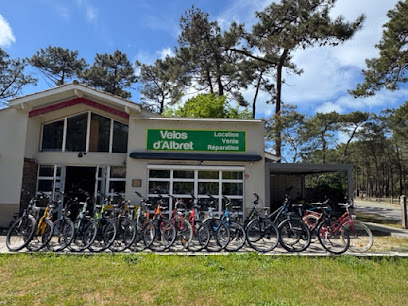 Vélos D'albret Location Lacanau Service De Location De Vélos à Lacanau