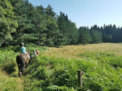 Domaine de Gory, Loueur de Vélos au Chambon-sur-Lignon