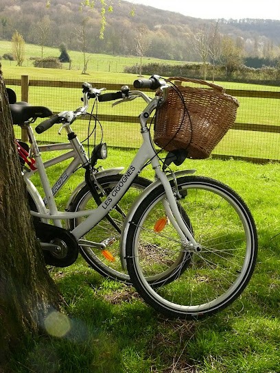 location de vélos sur réservation, Loueur de Vélos à Marais-Vernier