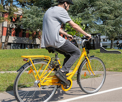 Cap Vélo Campus Service De Location De Vélos à Poitiers