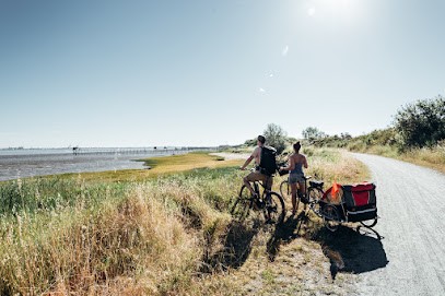 Location De Vélo, Loueur de Vélos à Saint-Brevin-les-Pins