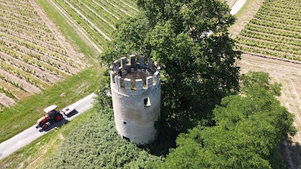 La Bulle Verte - Château Vieille Tour, Loueur de Vélos à Laroque