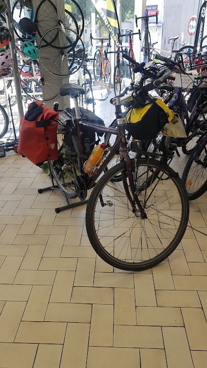 LA MAISON DU CYCLE, Magasin de Vélos à Tournon-sur-Rhône
