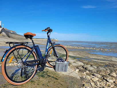 Vélocation17 - Livraison De Vélos De Location Service De Location De Vélos à Puilboreau