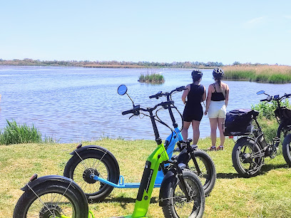Happy Tour Camargue Activités À Vélo Et Trottinette Électrique, Service De Location De Vélos à Saint-Laurent-d'Aigouze