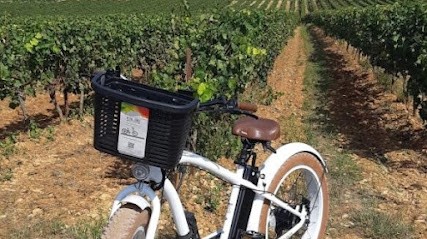 Roue Libre - St Max, Loueur de Vélos à Saint-Maximin-la-Sainte-Baume