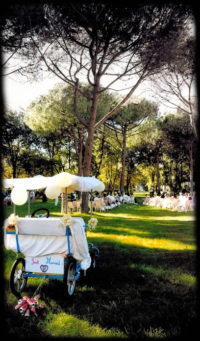 Bump Cycles, Loueur de Vélos à La Grande-Motte