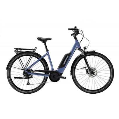 VELO CYCLE ABBIS, Loueur de Vélos à Arzon