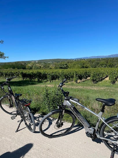 Vel'Olive Ardèche, Loueur de Vélos à Vogüé
