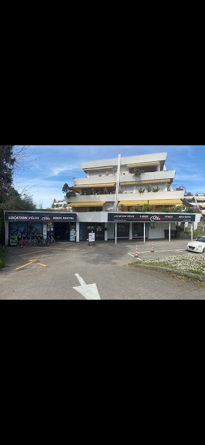 ROUL’ ma POULE location vélo électrique Annecy le Vieux, Loueur de Vélos à Annecy-le-Vieux