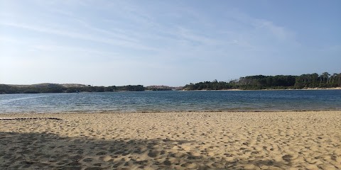 Freelandes Bike Rental Soustons Plage Vieux Boucau, Loueur de Vélos à Soustons
