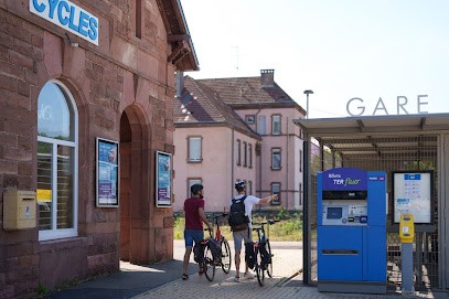 Trace Verte, Magasin de Vélos à Mutzig