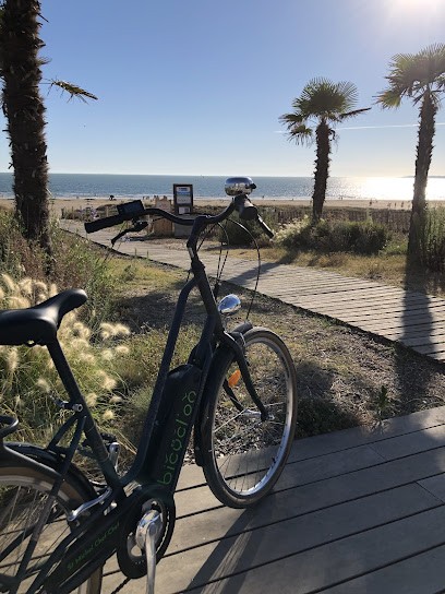 bicyclon, Loueur de Vélos à Saint-Michel-Chef-Chef