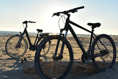 The Bike Saintois, Loueur de Vélos à Saintes-Maries-de-la-Mer