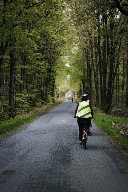 BROCELIANDE BIKE TOUR, Loueur de Vélos à Paimpont