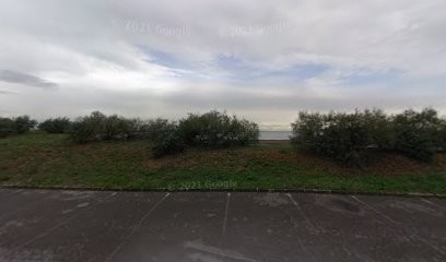 Vélostation Loisirs TaM - Pérols Étang De L'Or, Loueur de Vélos à Pérols