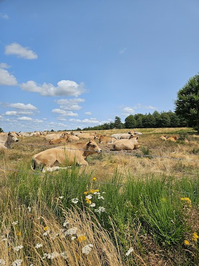 Gévaudan Vélo, Loueur de Vélos à Peyre en Aubrac