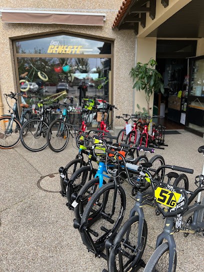 Cycle Geneste, Magasin de Vélos à Condat-sur-Vienne