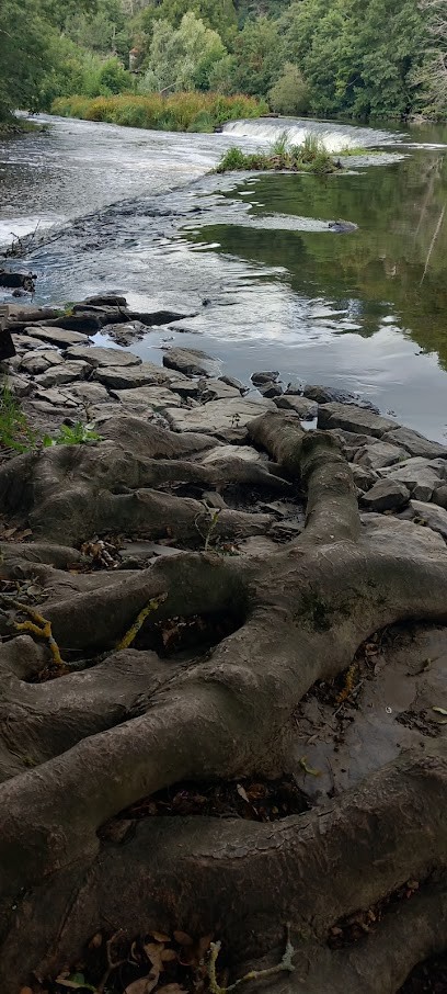 Location de canoë Pont d'Ouilly, Loueur de Vélos à Pont-d'Ouilly