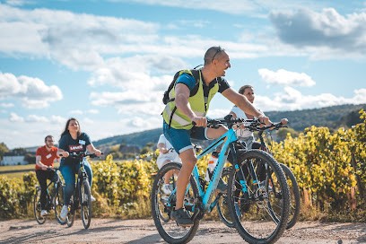 LA VÉLO VIE, Loueur de Vélos à Dijon