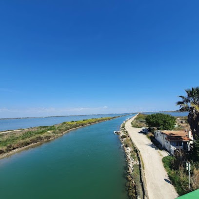 S'mart Location, Loueur de Vélos à Mauguio