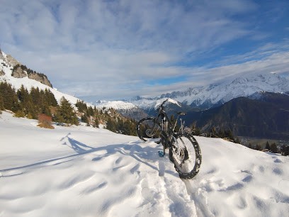 Naturel Evasion, Loueur de Vélos à Sallanches