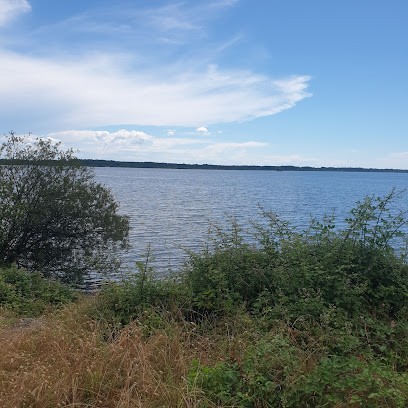 Click & Bike Parentis, Loueur de Vélos à Parentis-en-Born