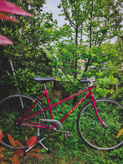 Solution.s Vélo, Atelier De Réparation De Vélos à Tournefeuille