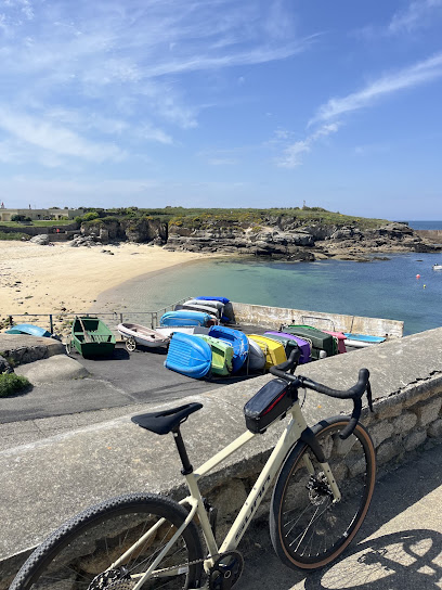 Location De Vélos Larmor-Plage En Livraison - N'bike Rental, Service De Location De Vélos à Larmor-Plage